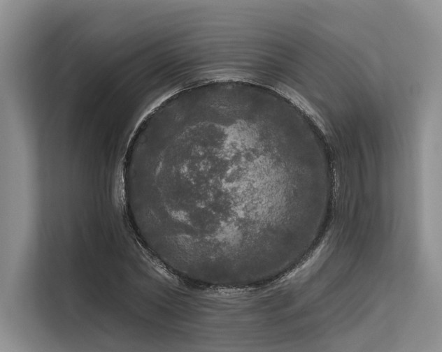 X0000113550782200909181158