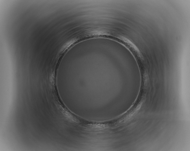 X0000113550785200909181158