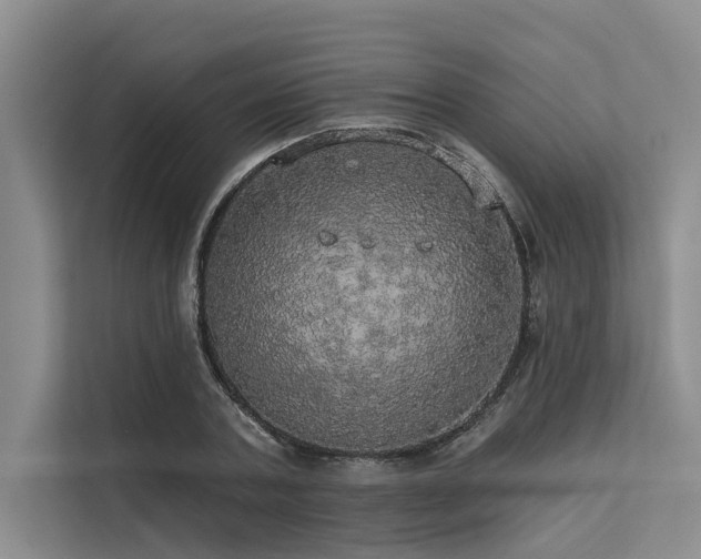 X0000113550787200909181158