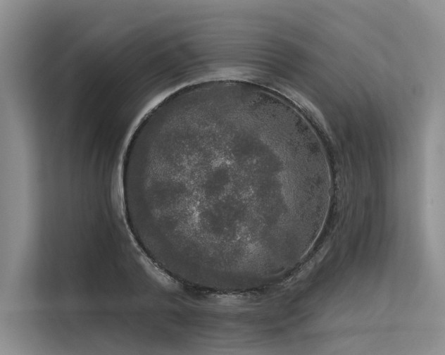 X0000113550792200909181158