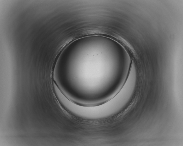 X0000113550793200909181158