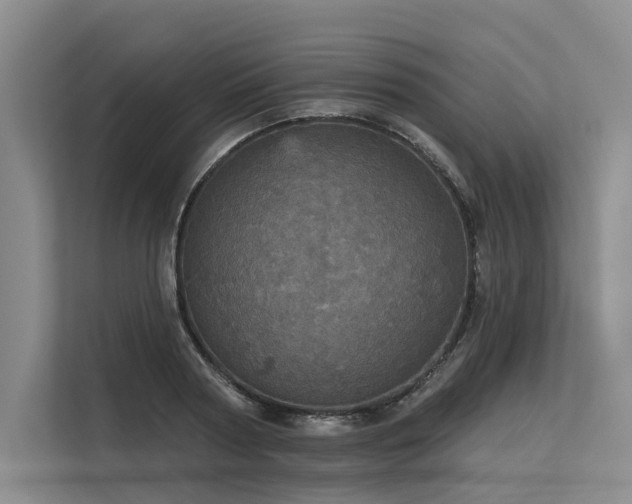 X0000113550794200909181158