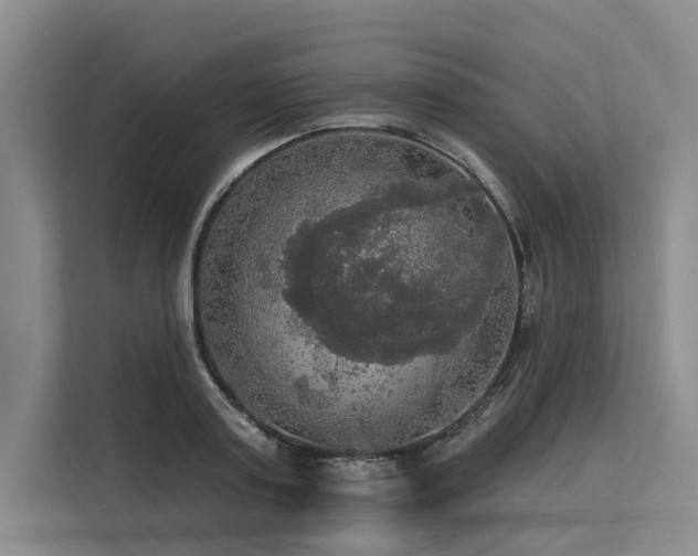 X0000113550795200909181158