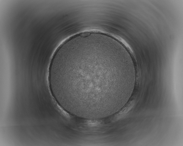 X0000113550799200909181158