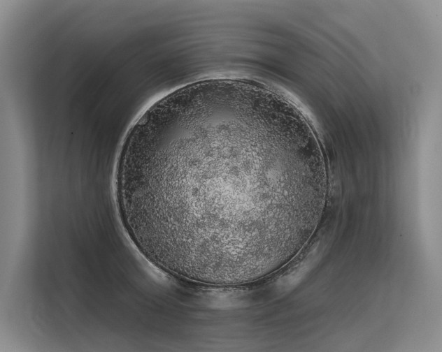 X0000113550803200909181158