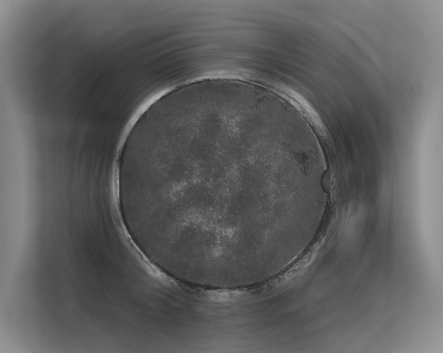 X0000113550804200909181158