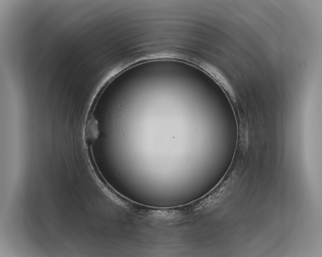 X0000113550805200909181158