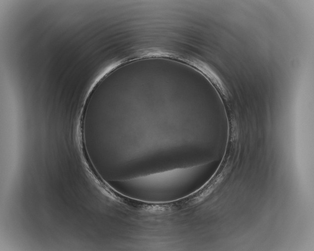 X0000113550806200909181158