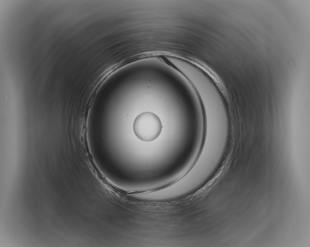 X0000113550809200909181158