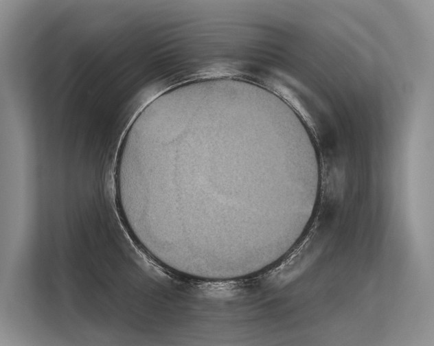 X0000113550810200909181158