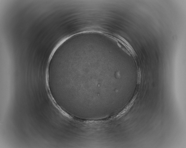 X0000113550812200909181158