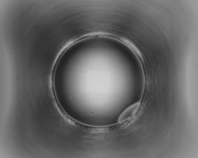 X0000113550813200909181158