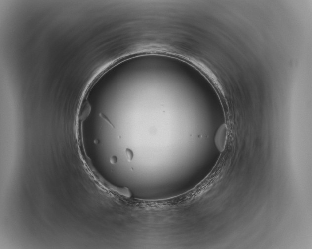 X0000113550815200909181158