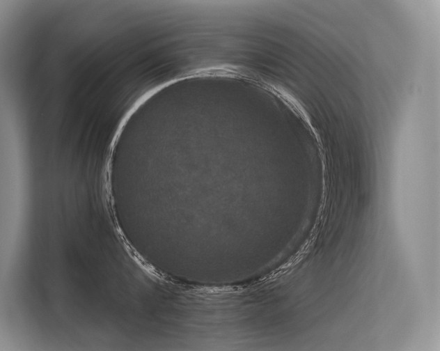 X0000113550816200909181158