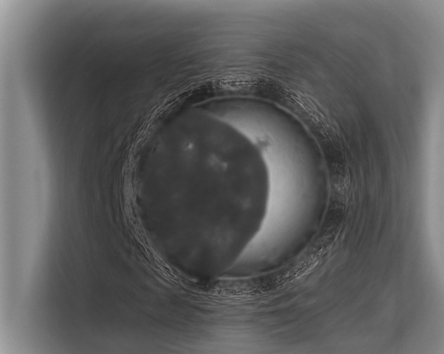 X0000113550817200909181157