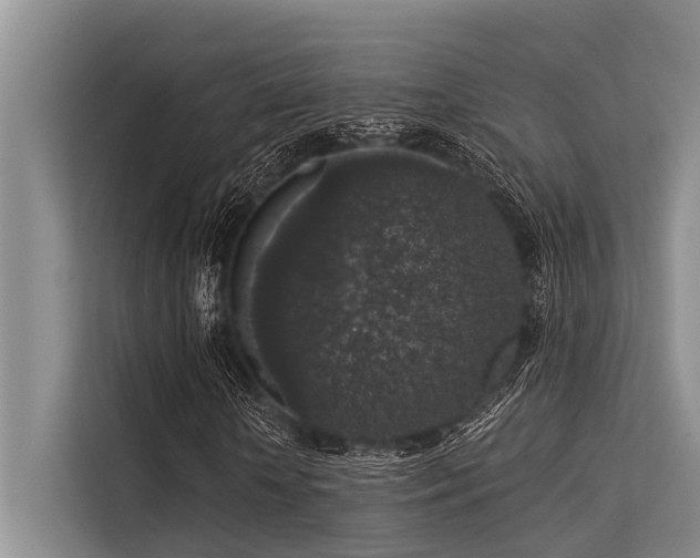 X0000113550818200909181157