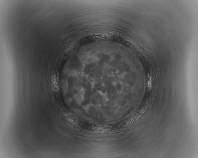 X0000113550819200909181157