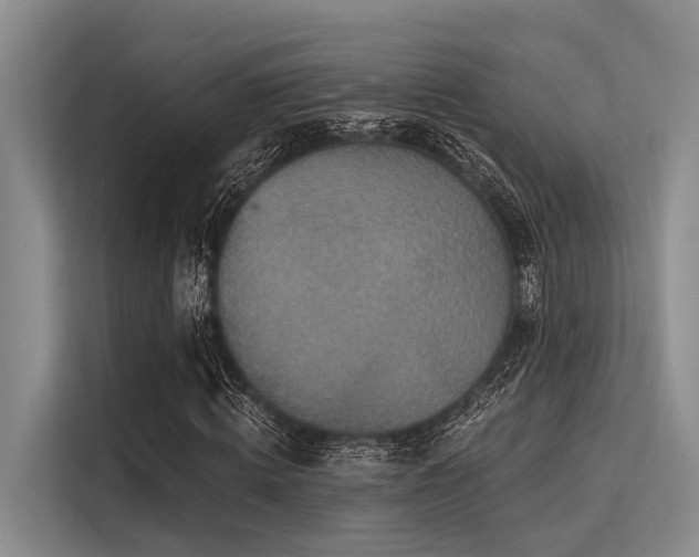 X0000113550820200909181157