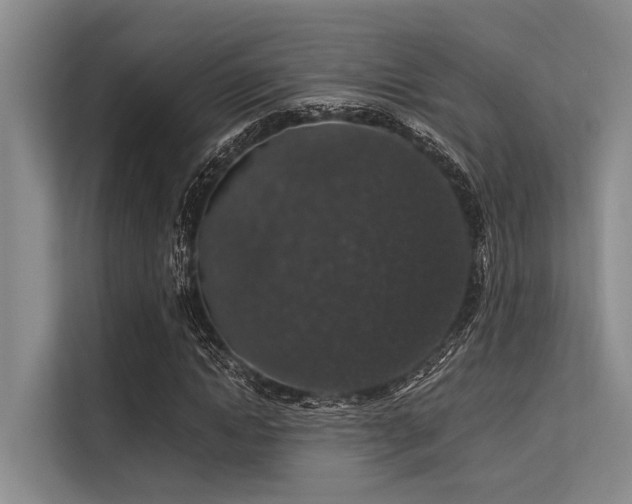 X0000113550822200909181157