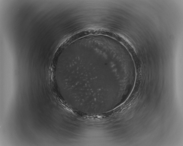 X0000113550823200909181157
