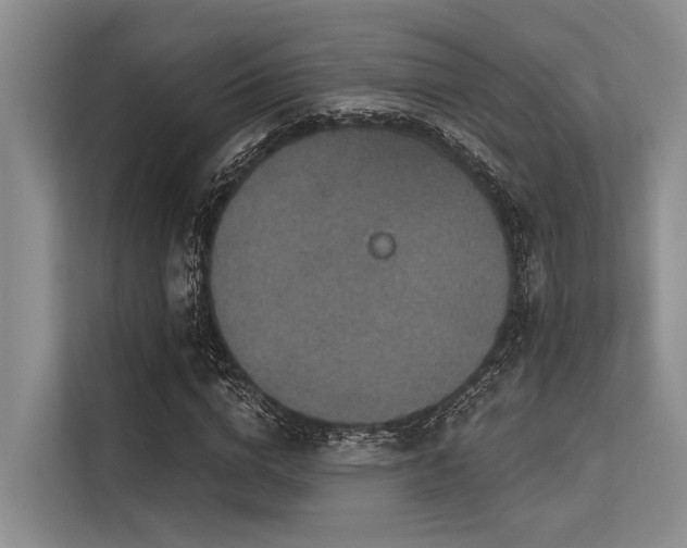 X0000113550824200909181157