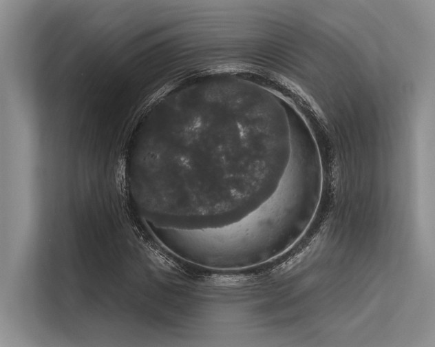 X0000113550825200909181157