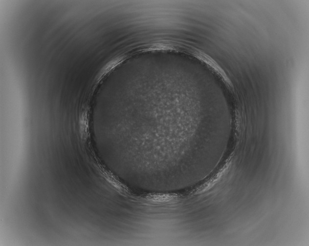 X0000113550826200909181157