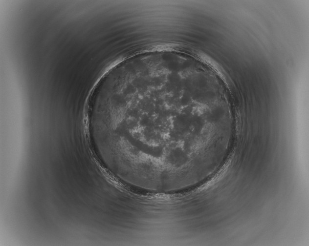 X0000113550827200909181157