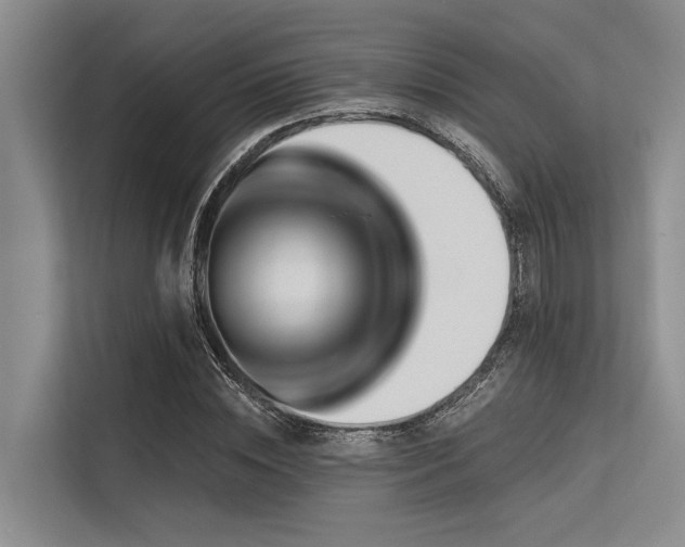 X0000113550828200909181157