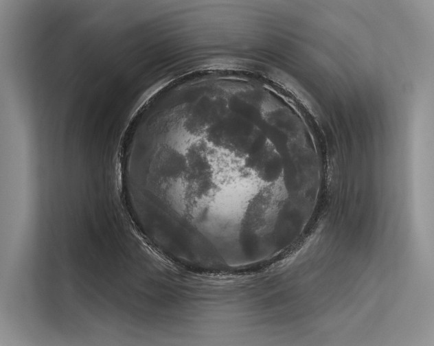X0000113550829200909181157