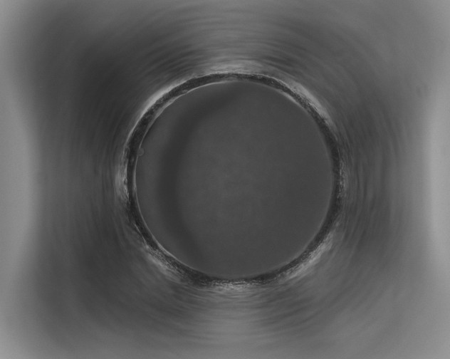 X0000113550830200909181157