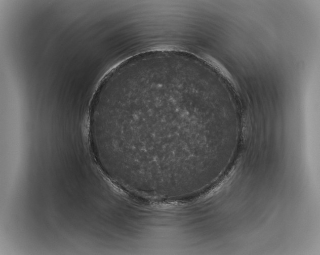 X0000113550831200909181157