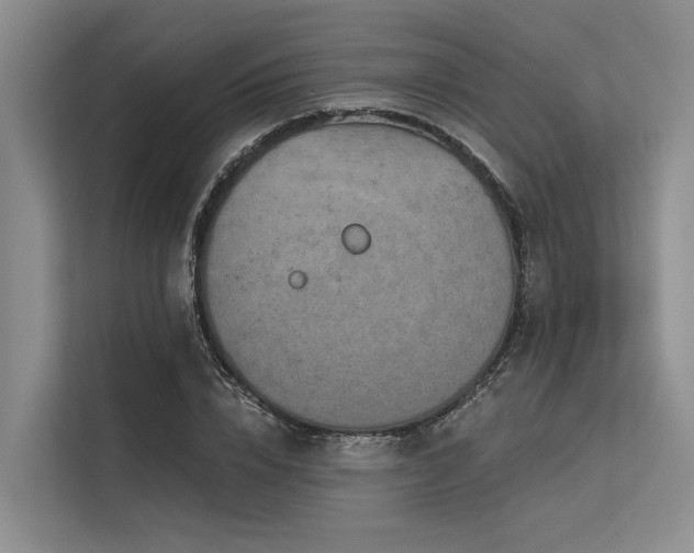 X0000113550832200909181157
