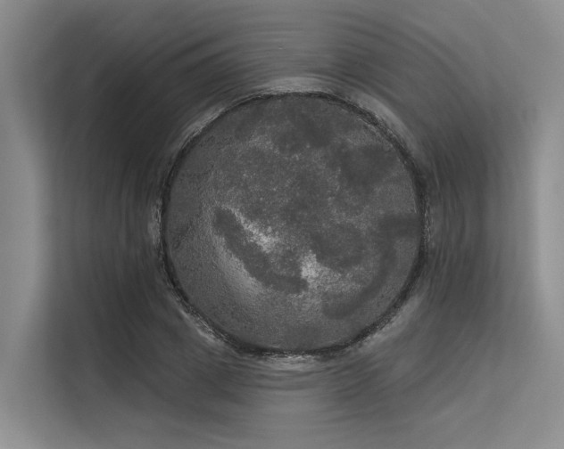 X0000113550833200909181157