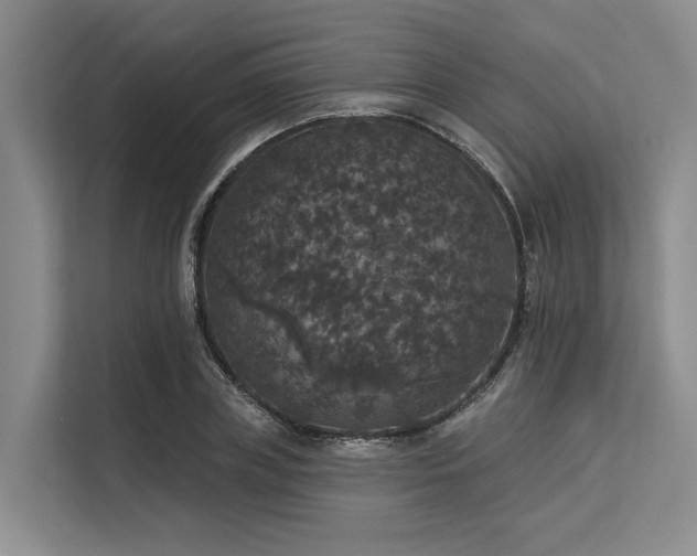 X0000113550835200909181157