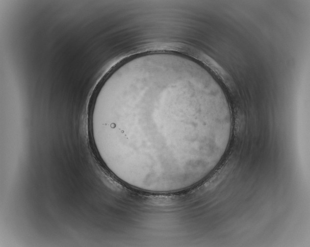X0000113550836200909181157
