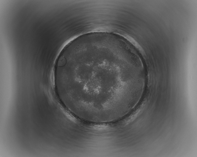 X0000113550838200909181157
