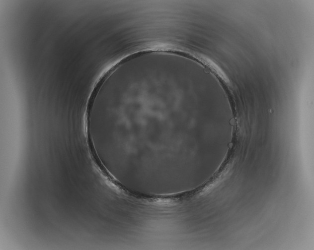 X0000113550839200909181157