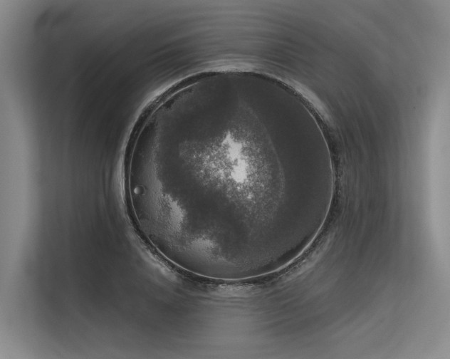 X0000113550840200909181157