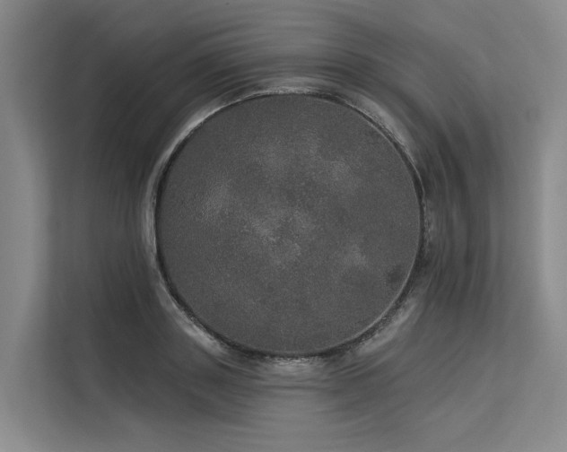 X0000113550843200909181157