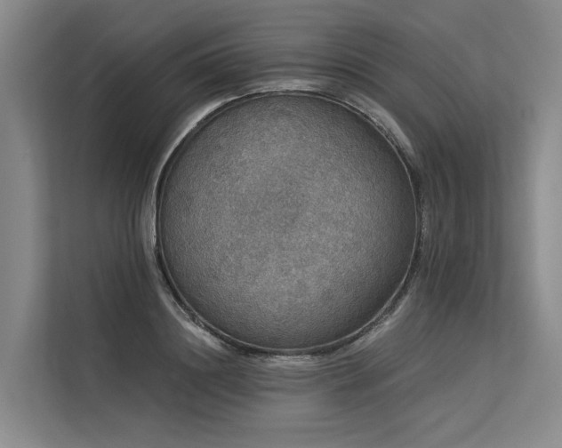 X0000113550844200909181157