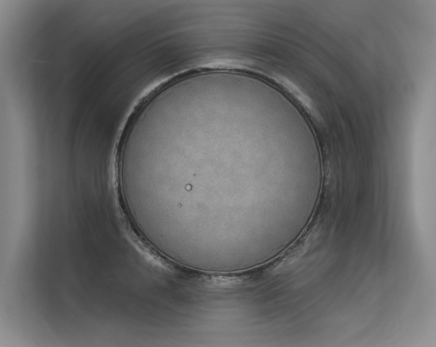 X0000113550848200909181157