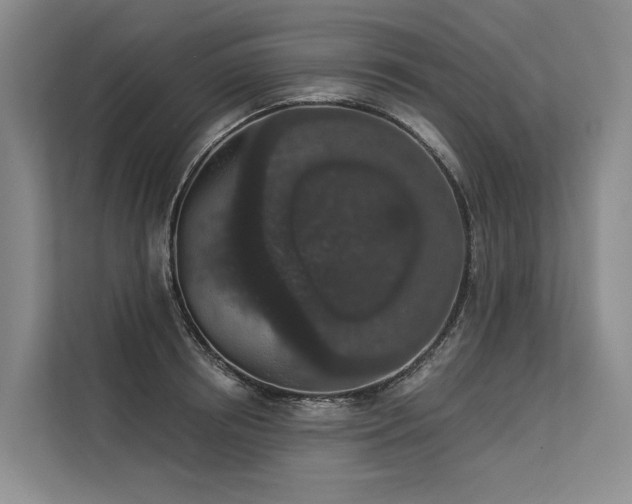 X0000113550850200909181157