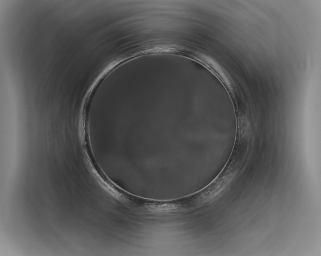 X0000113550851200909181157