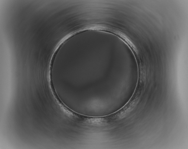 X0000113550853200909181158