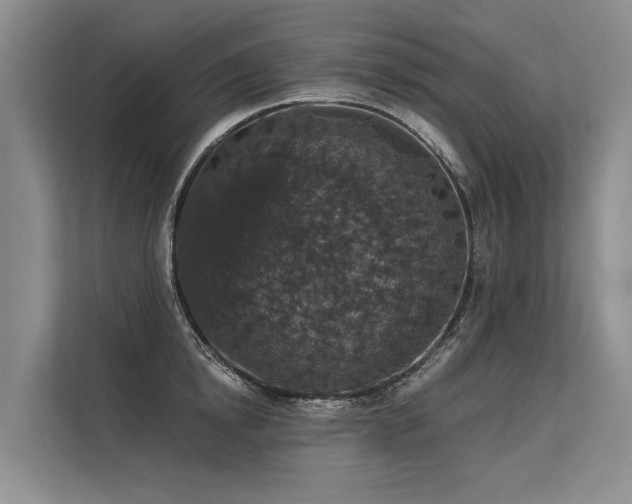 X0000113550854200909181158