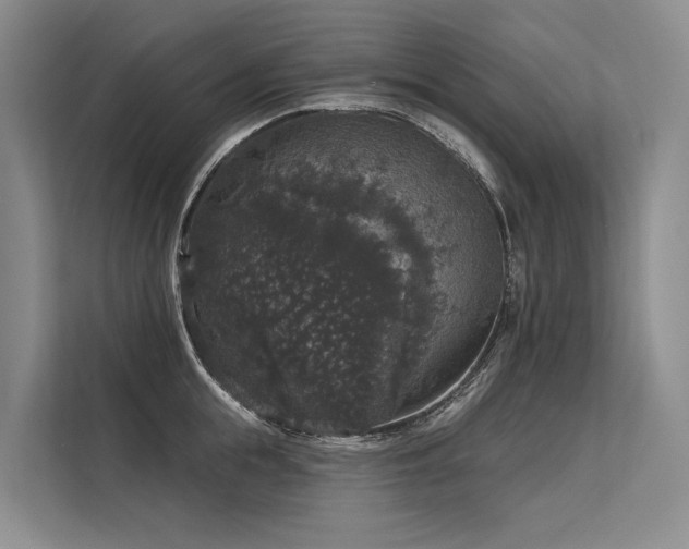 X0000113550855200909181158