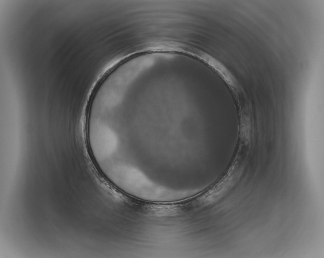 X0000113550856200909181158