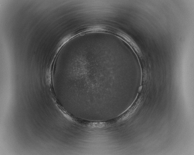 X0000113550858200909181158