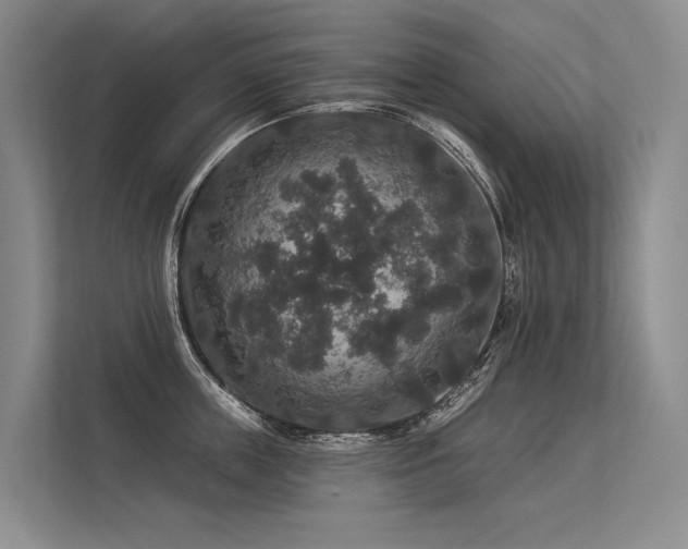 X0000113550859200909181158